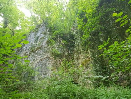 Sanacija črnega odlagališča – Banova jama 072